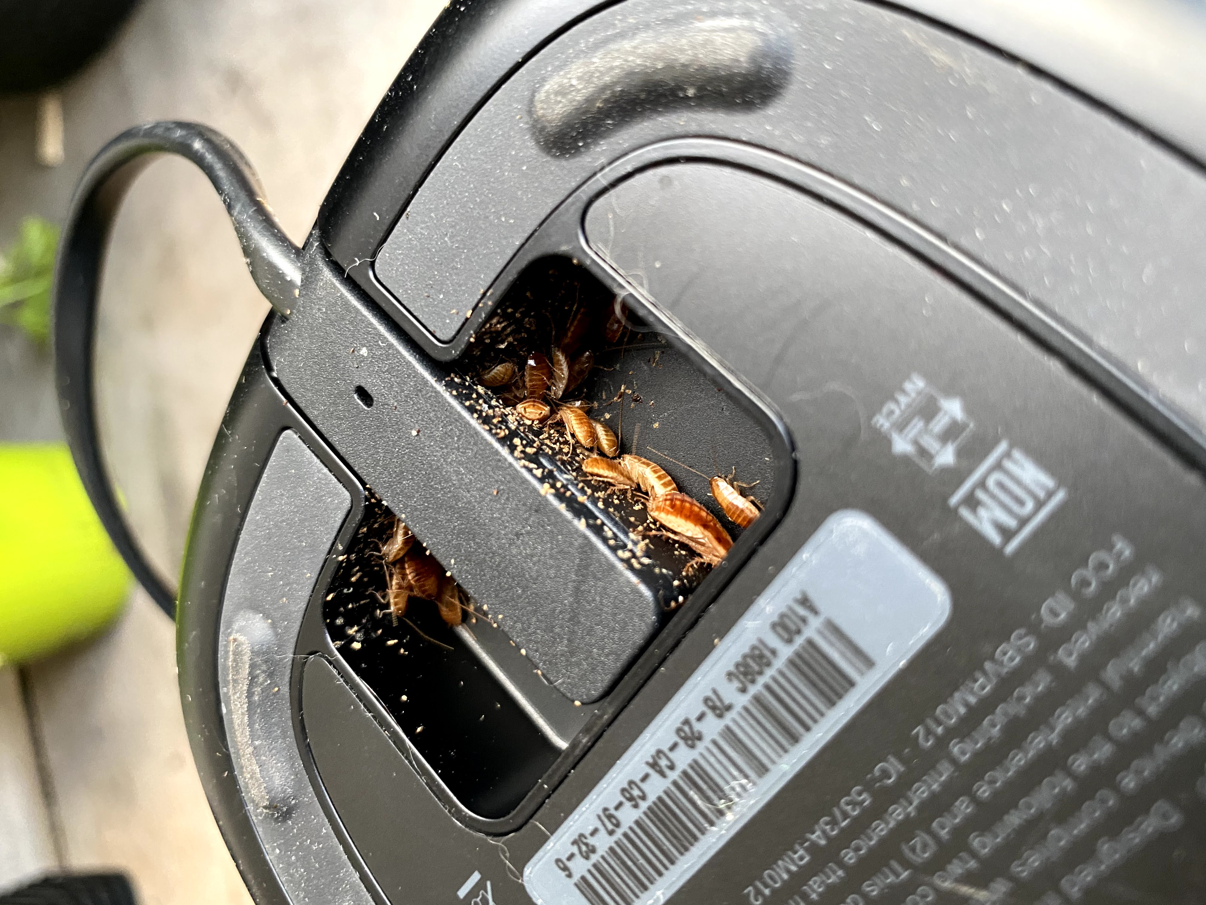 Des coquerelles dans mon haut-parleur