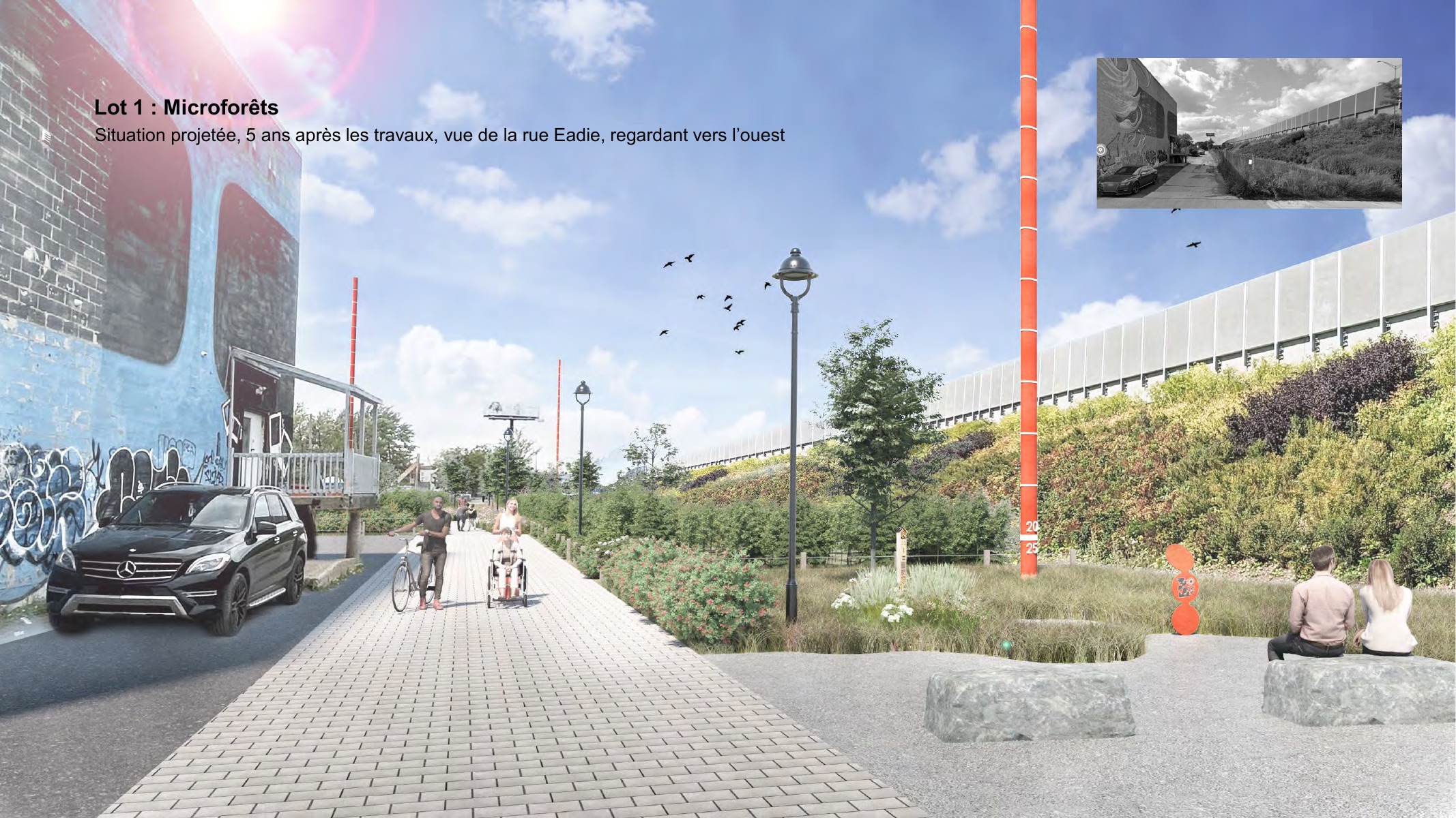 Projection d’une microforêt cinq ans après les travaux