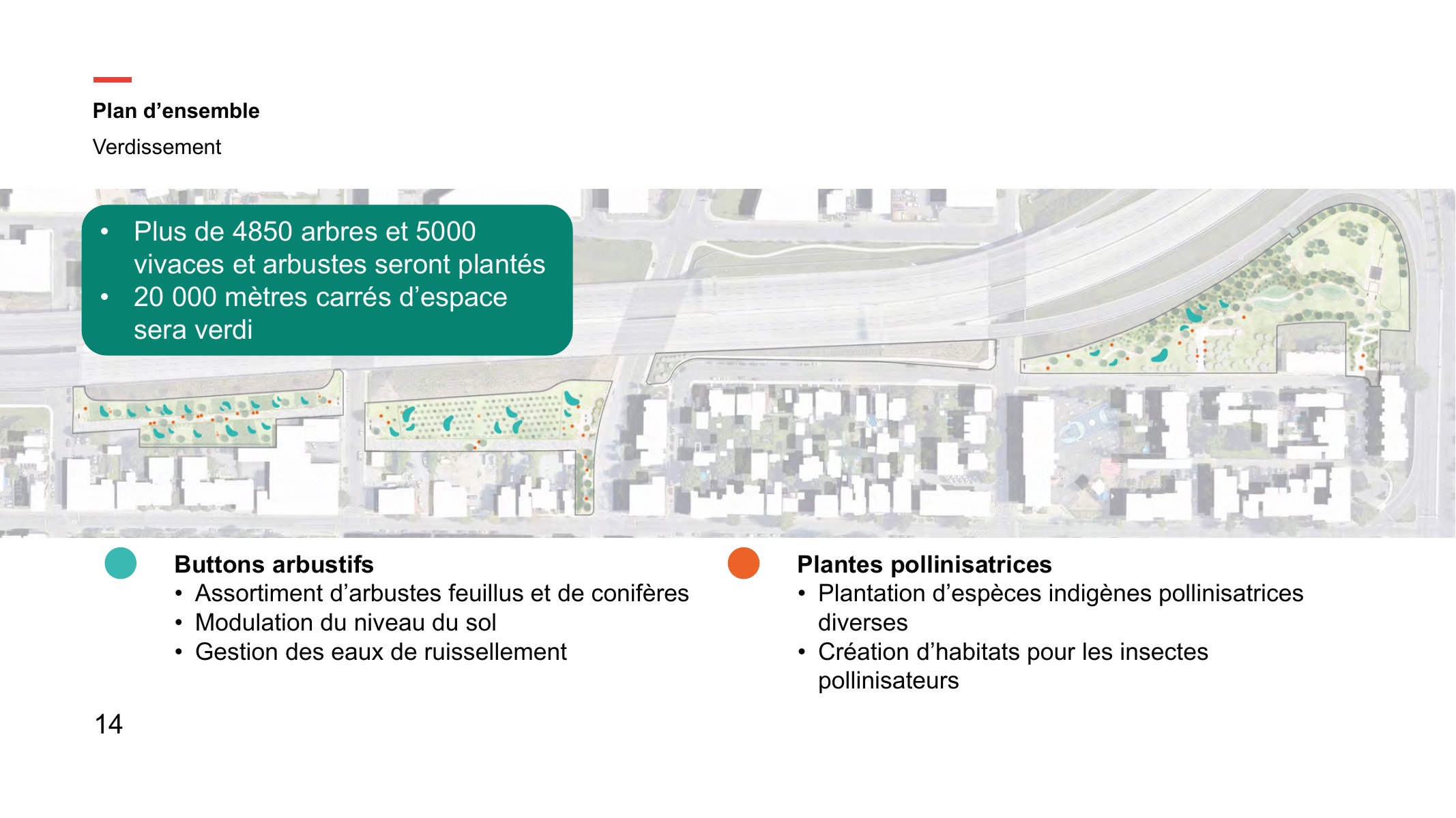 Résumé du verdissement prévu